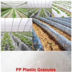 Agriculture Film PP Plastic Granules Polypropylene Plastic Pellets